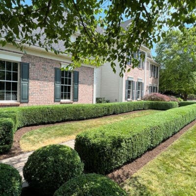 Pittsford, NY Landscape Maintenance Services