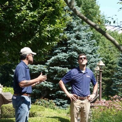 Pittsford, NY Land Care Company