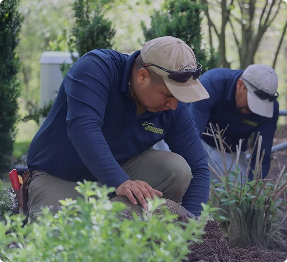 Landscape Design Pittsford, NY