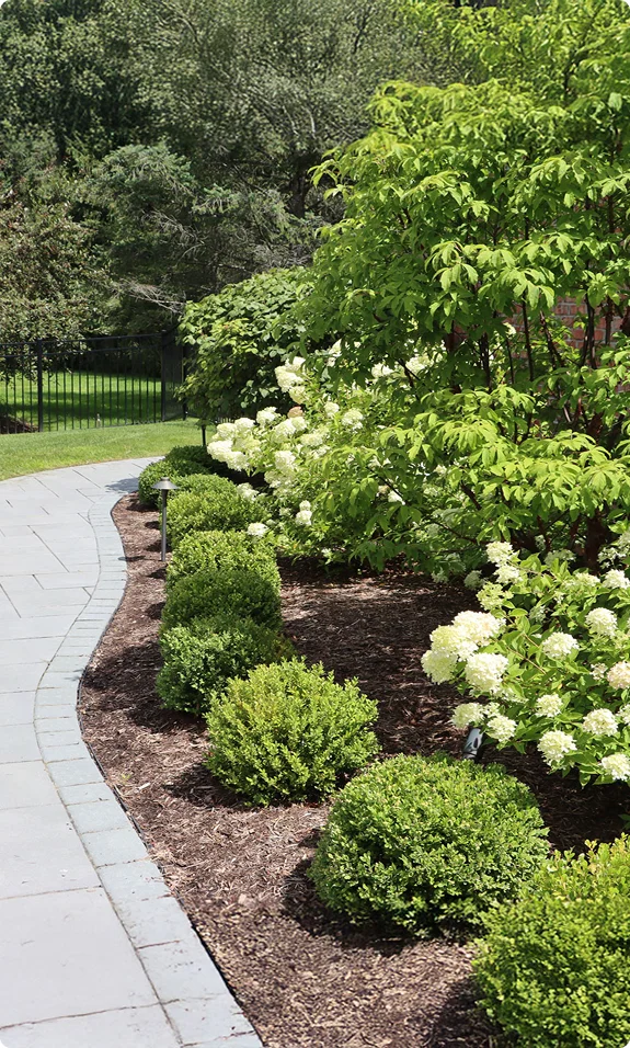 Landscape Design Pittsford, NY