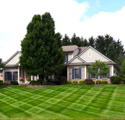 Pittsford, NY Turf Care Treatment Services