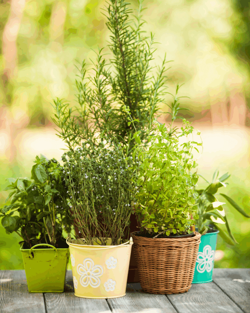 container gardening in victor new york