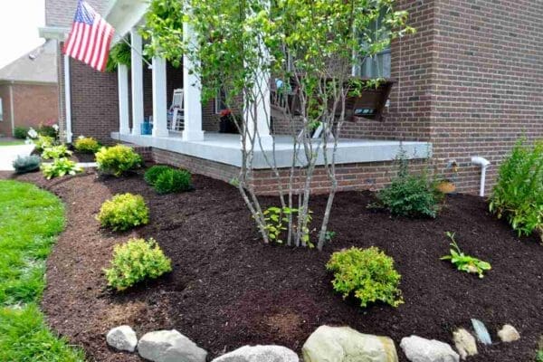 Shredded hardwood type