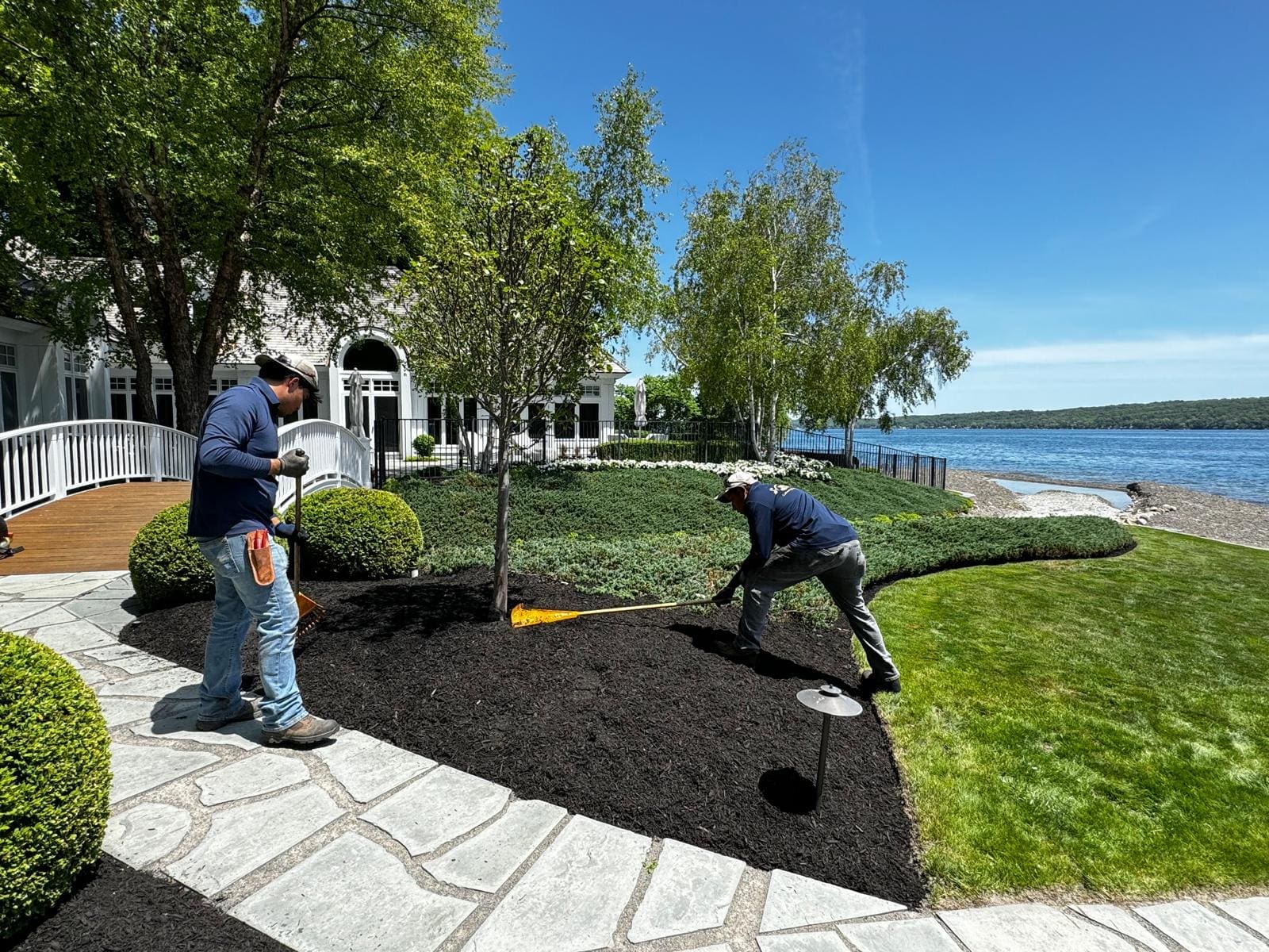 5d465831 476d 4b55 988e 94944dba0eb9