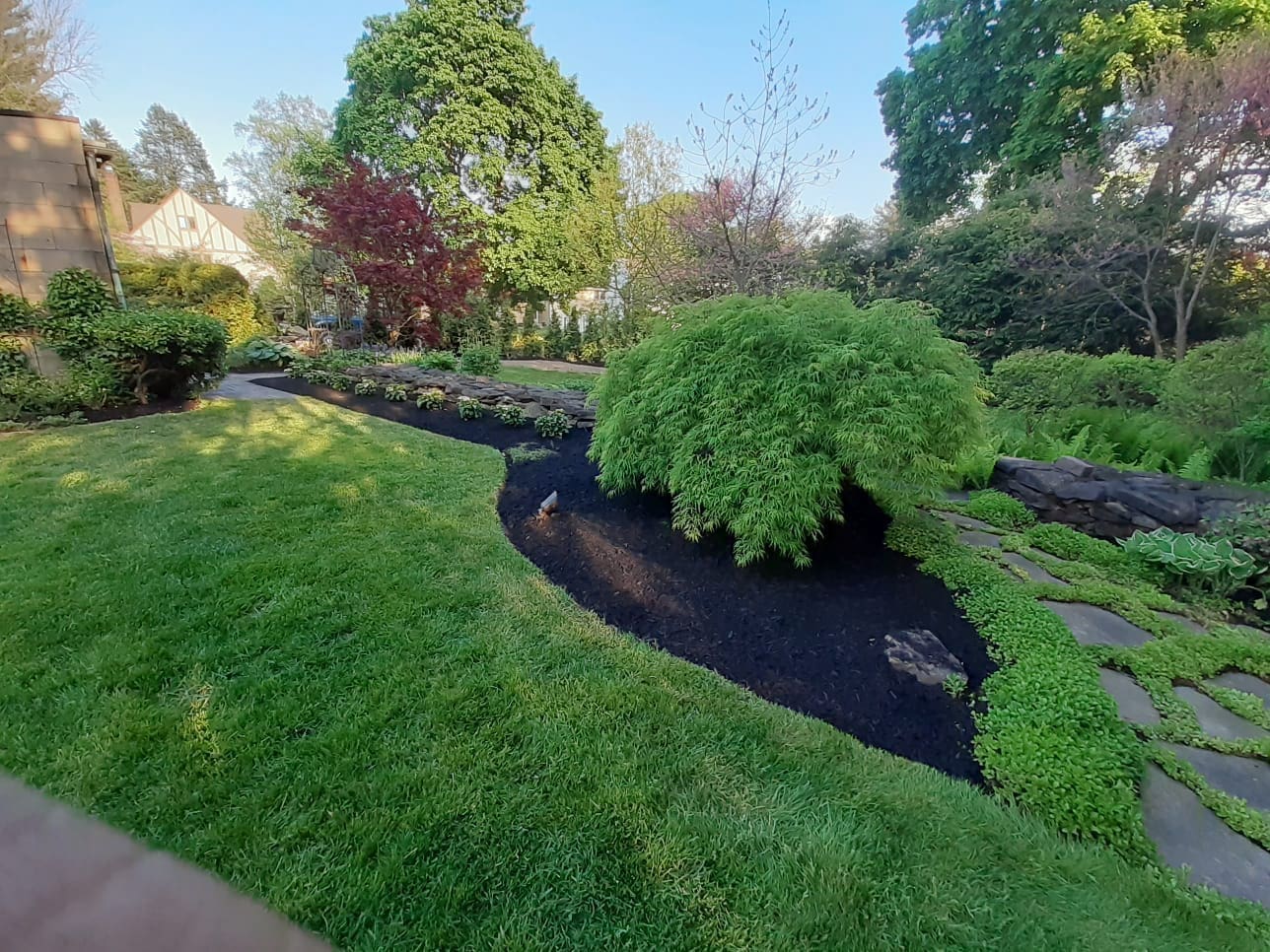 PHOTO 2020 05 27 13 08 33 5