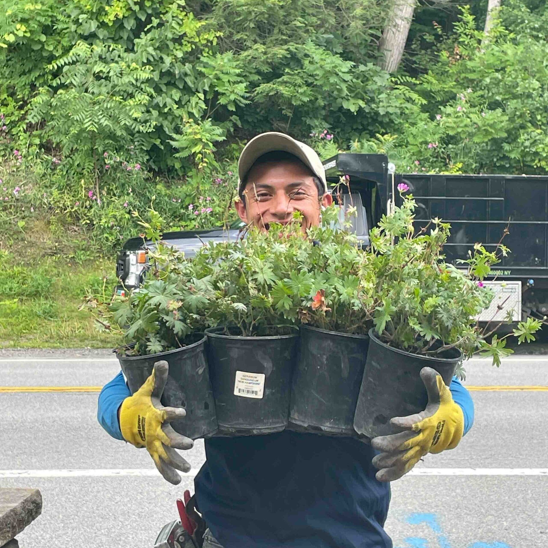 Pittsford, NY Landscaping Companies