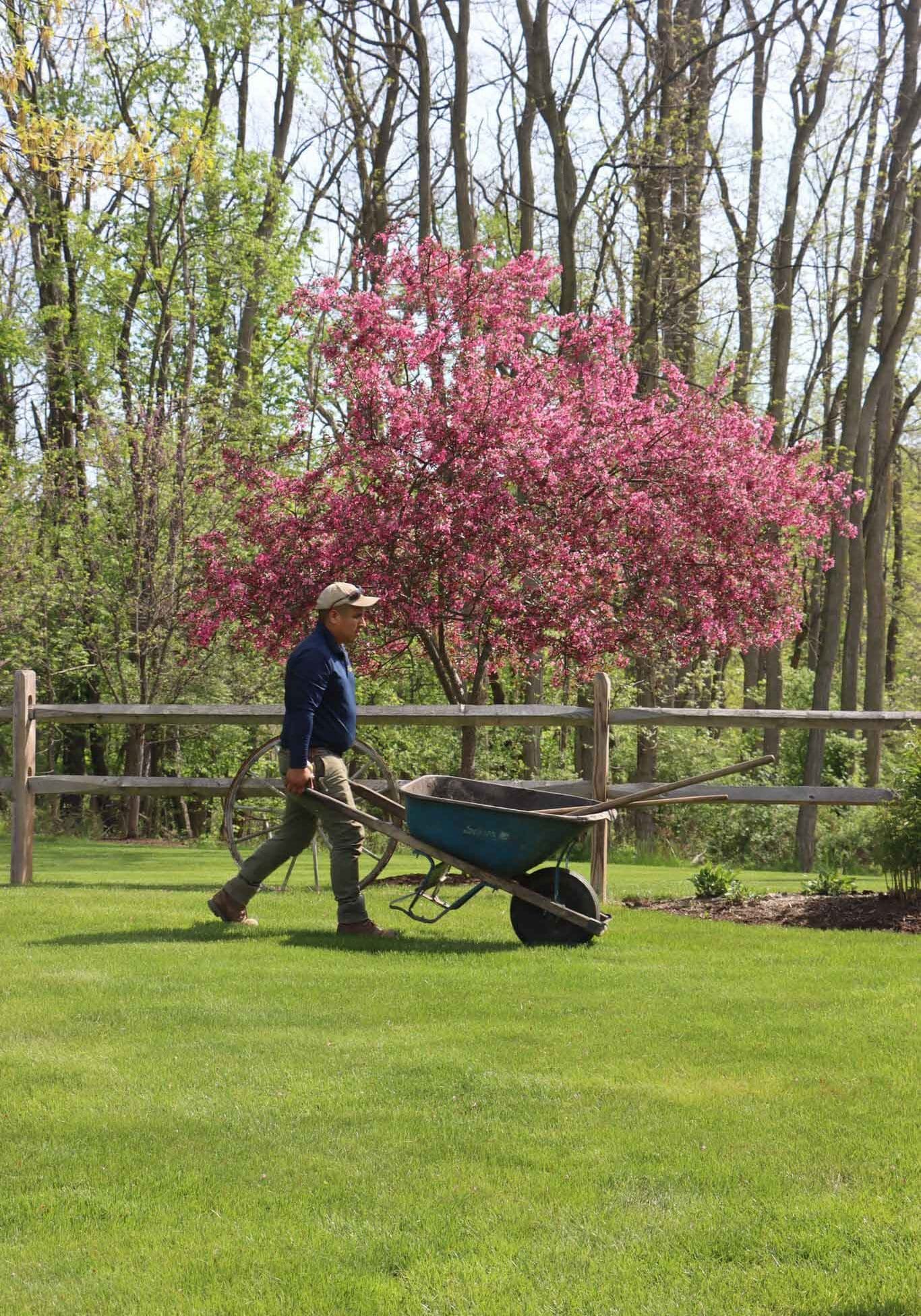 Pittsford, NY Landscape Installation