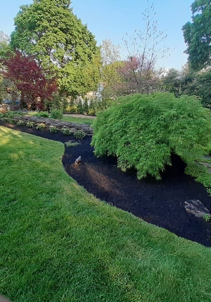 PHOTO 2020 05 27 13 08 33 5